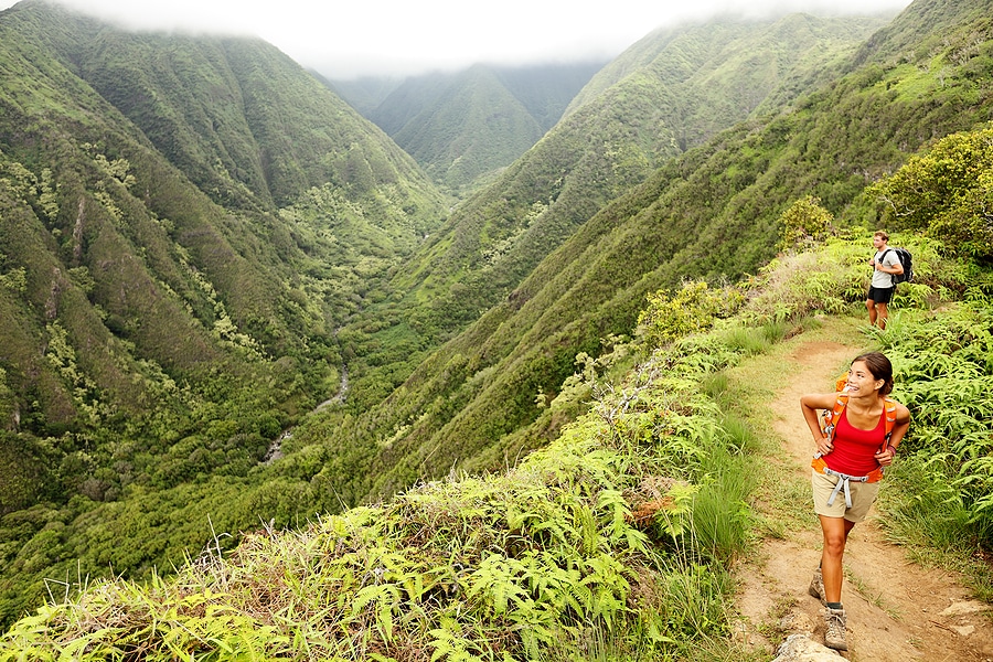 Hopping Islands? Lucky Owl Makes Getting Around Easy